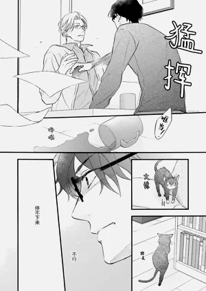 第117页图