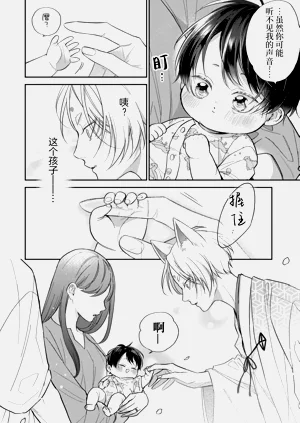 第217頁圖