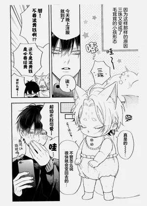 第248頁圖