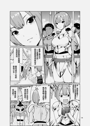 第13页图