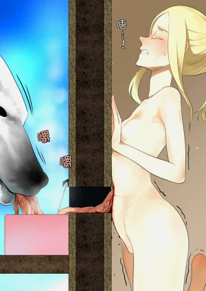 第71頁圖