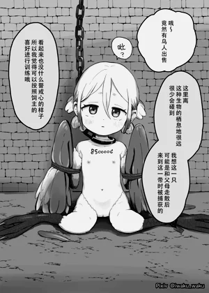 第78页图