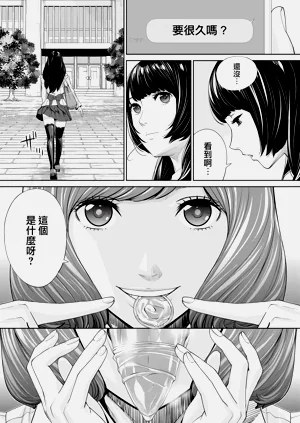 第29頁圖