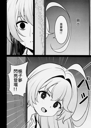 第29頁圖