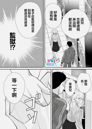 第321頁圖