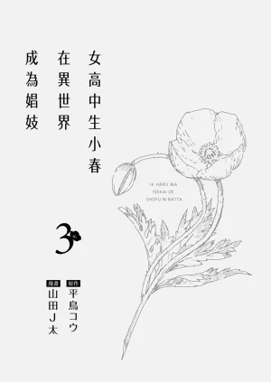 第2頁圖