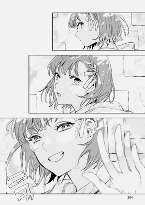 第205頁圖