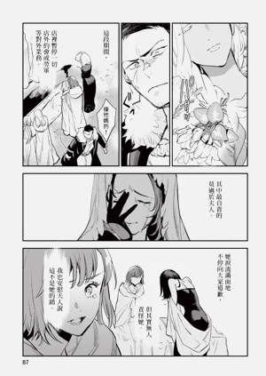 第88頁圖
