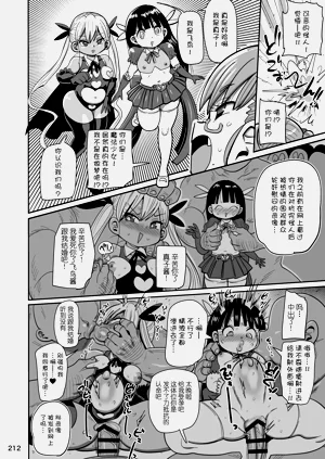第208页图
