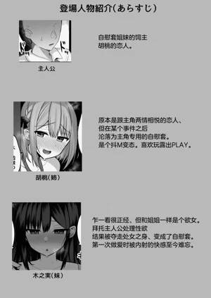 第4页图
