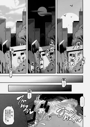 第19页图