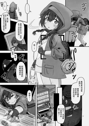 第3页图