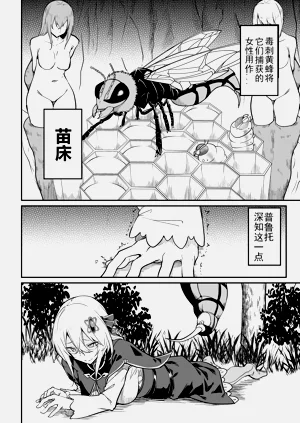 第136頁圖