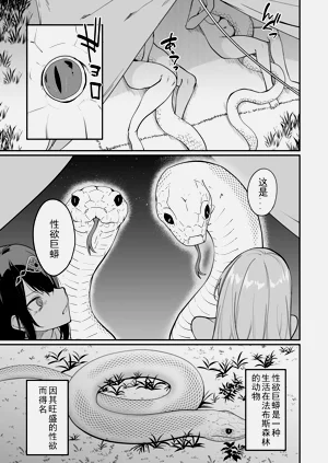 第290頁圖