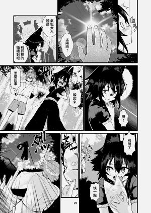 第25頁圖