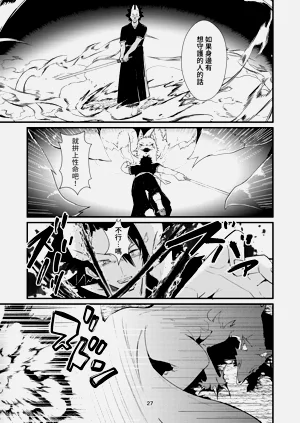 第27頁圖