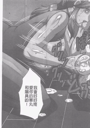 第238頁圖