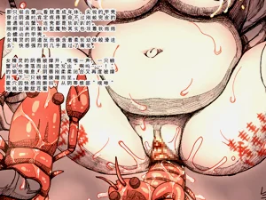 第248頁圖