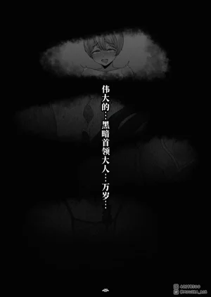 第17页图