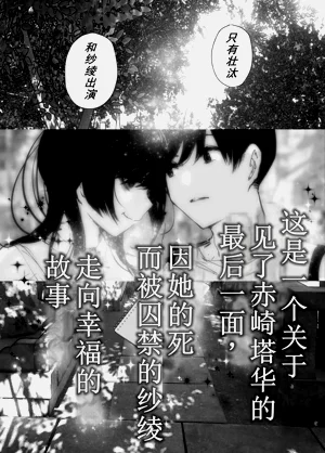 第266页图