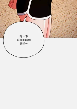第333页图