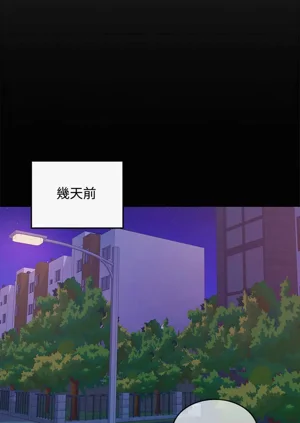 第376頁圖