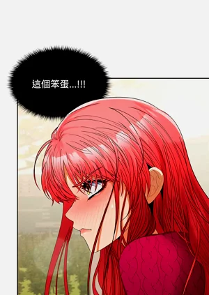 第438頁圖