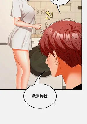 第503頁圖