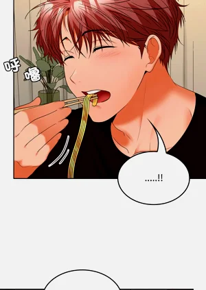 第519頁圖