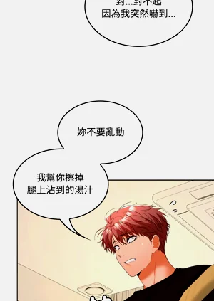 第528頁圖