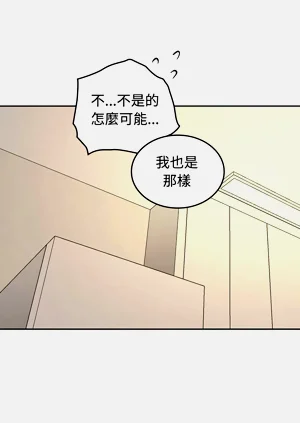 第537頁圖