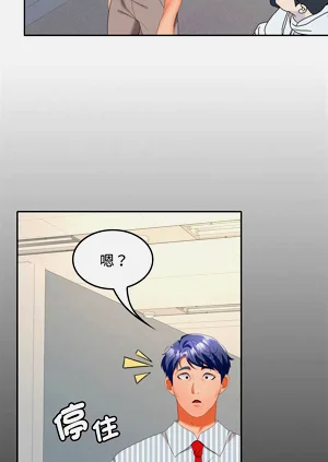 第539頁圖