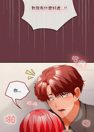 第566頁圖