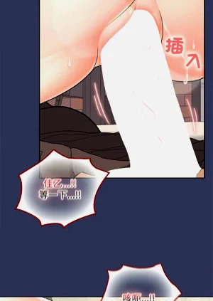 第588頁圖