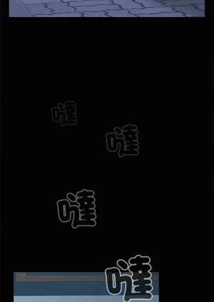第619頁圖
