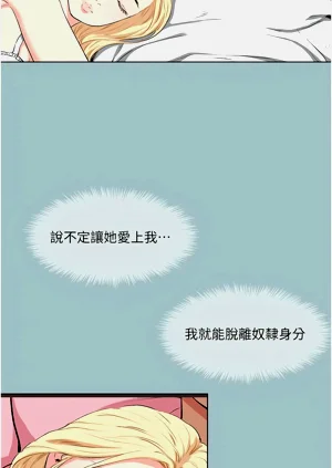 第215頁圖
