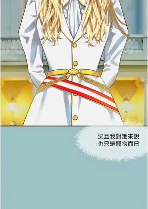 第216頁圖
