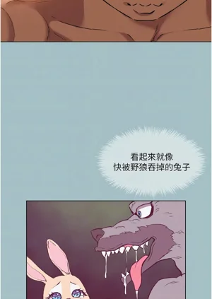 第252頁圖