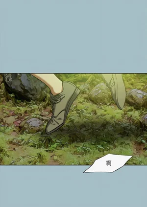 第317頁圖