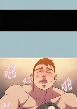 第333頁圖
