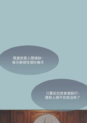 第336頁圖