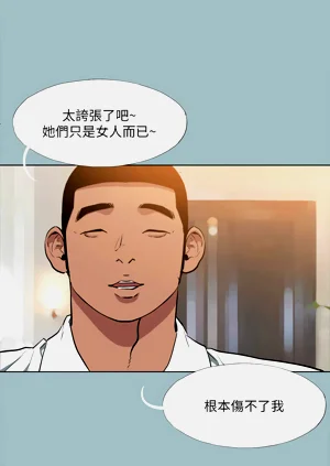 第337頁圖
