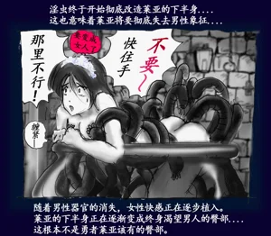 第34頁圖