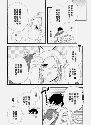 第217页图