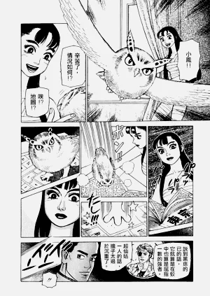 第117頁圖