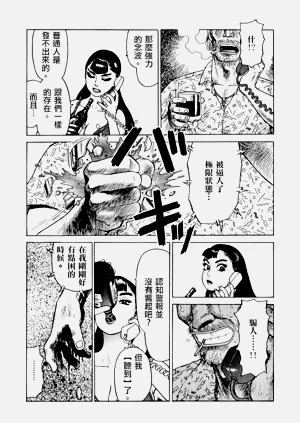 第13頁圖