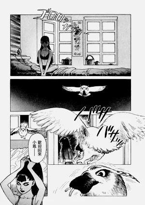 第15頁圖