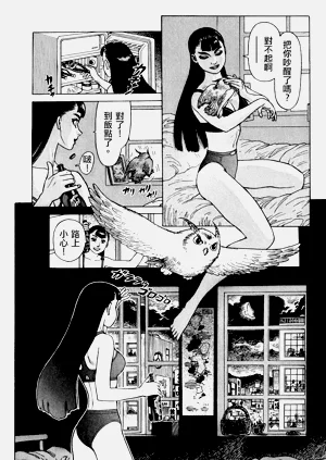 第8頁圖