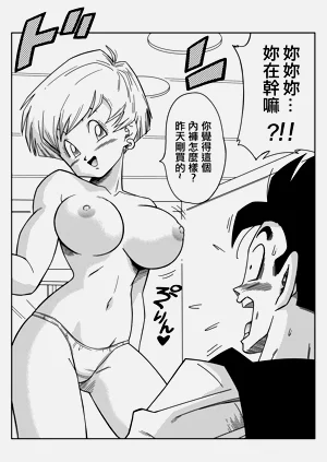 第8页图