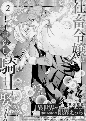 第39頁圖